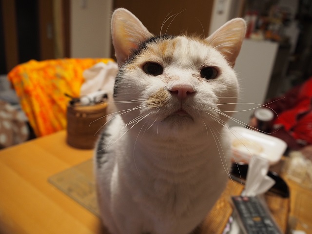 d0038975_13254516.jpg