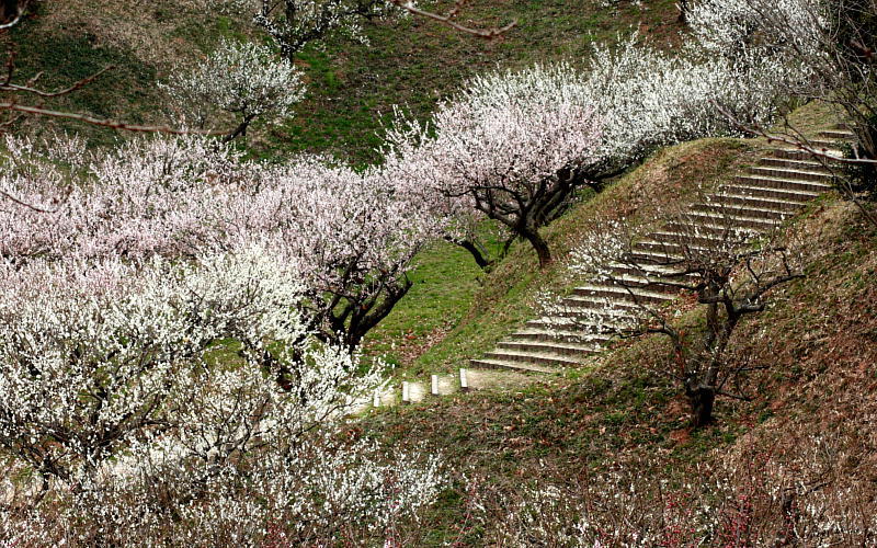 c0357781_15170724.jpg