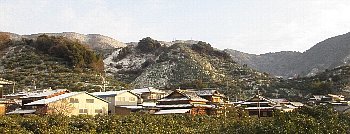 f0003283_20091451.jpg