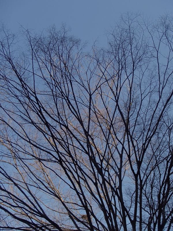 c0015099_1646678.jpg