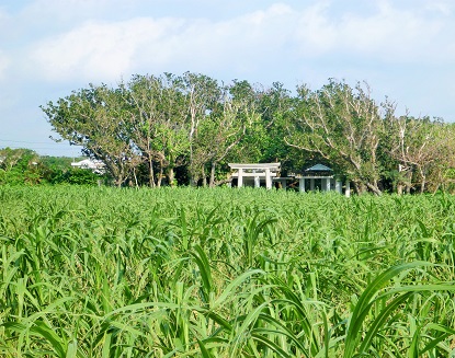 e0077899_1048983.jpg