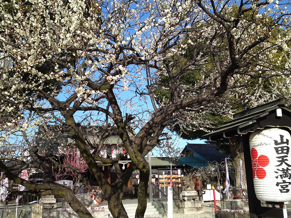 a0031000_161597.jpg
