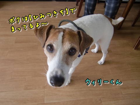 a0338800_17123312.jpg