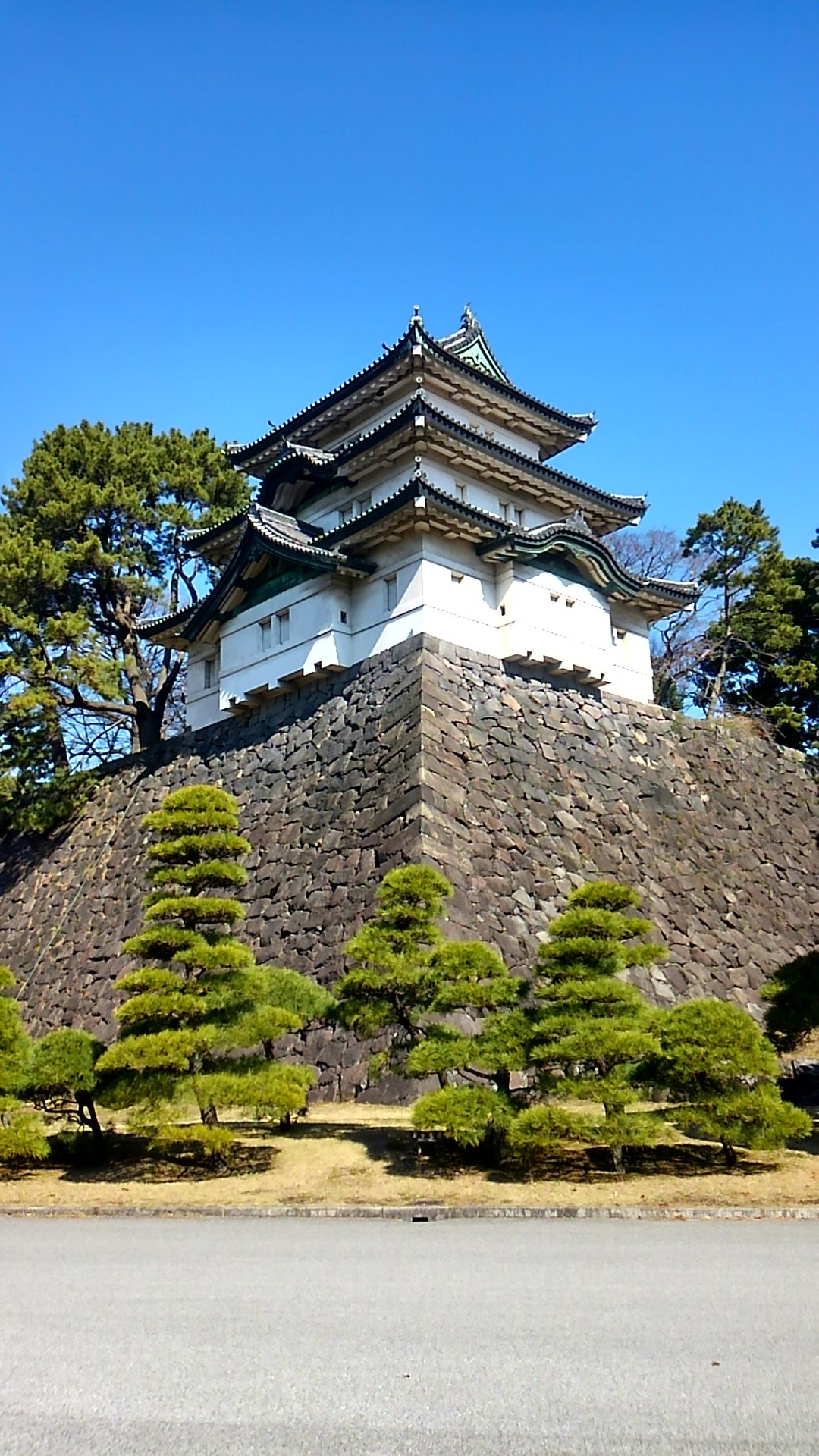 a0224502_15312460.jpg