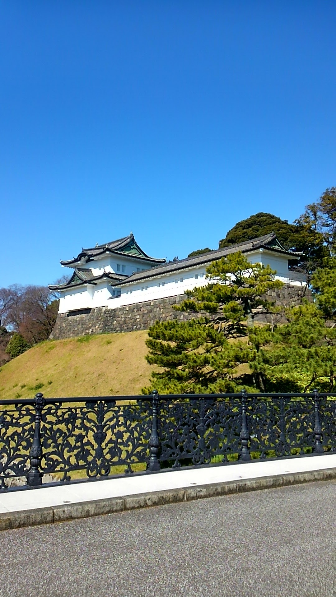 a0224502_15511388.jpg