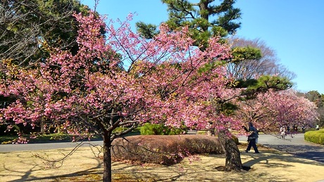 a0224502_1641464.jpg