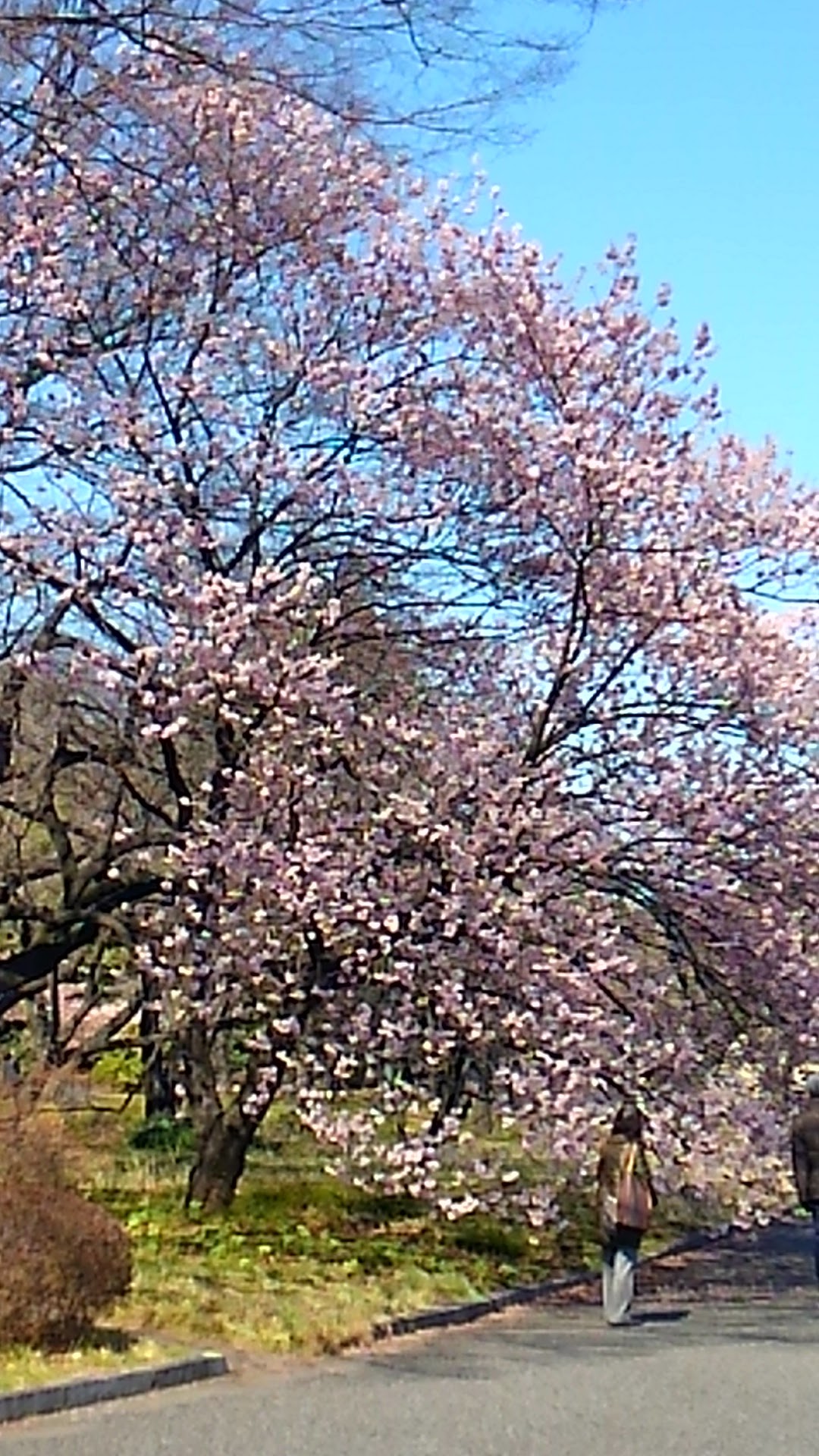 a0224502_164499.jpg