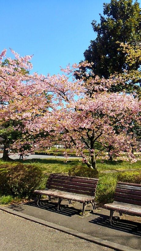 a0224502_1653861.jpg
