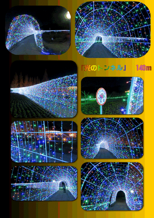f0231709_20544727.gif