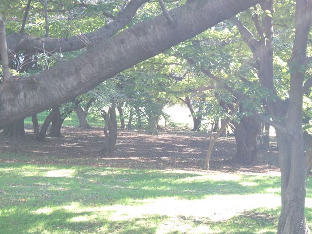 b0309813_13232026.jpg
