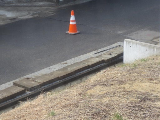 f0248616_10110751.jpg