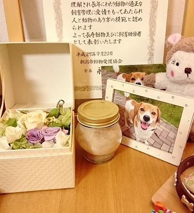 c0084117_18134799.jpg