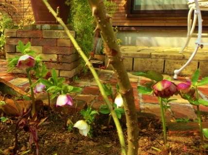 c0204121_23461143.jpg