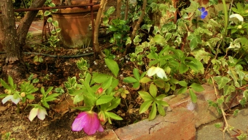 c0204121_23484012.jpg