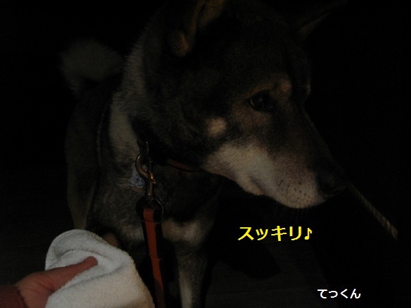 f0143123_21314972.jpg