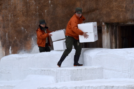f0344626_22234150.jpg