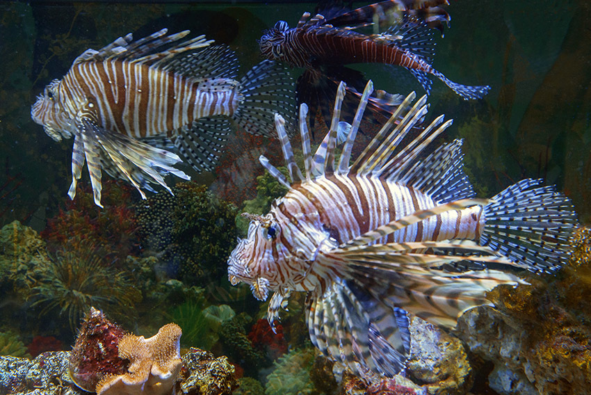 d0147530_08053714.jpg