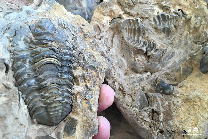 c0211532_1938452.jpg