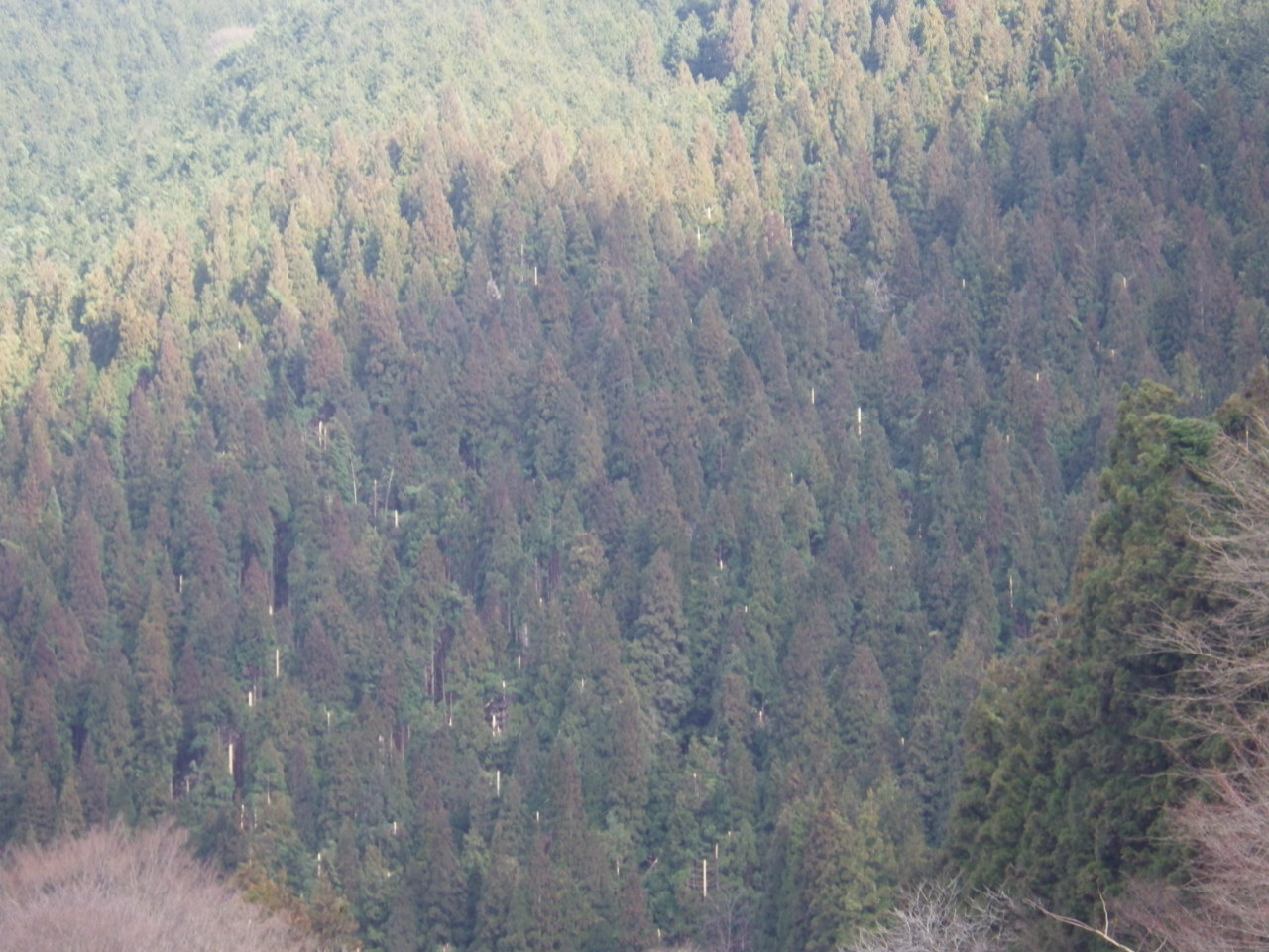 c0300035_1155233.jpg