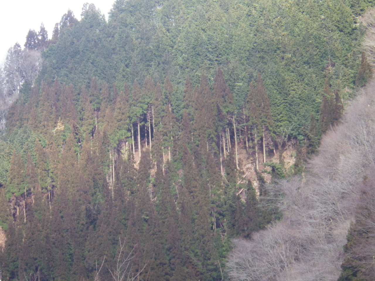 c0300035_11554677.jpg