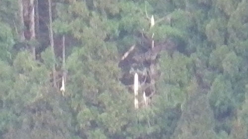 c0300035_11562266.jpg