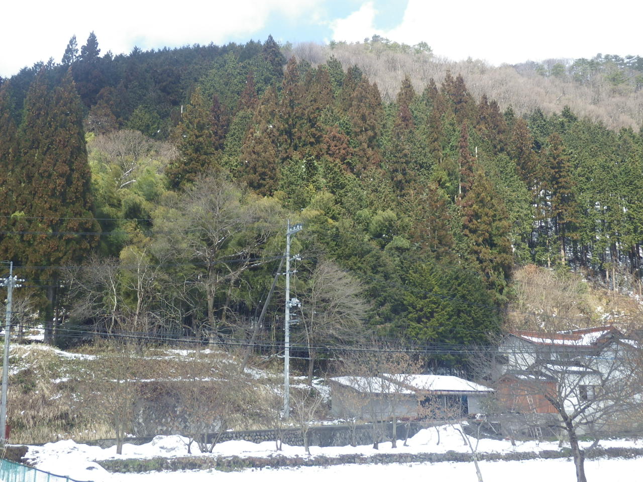 c0300035_12123514.jpg