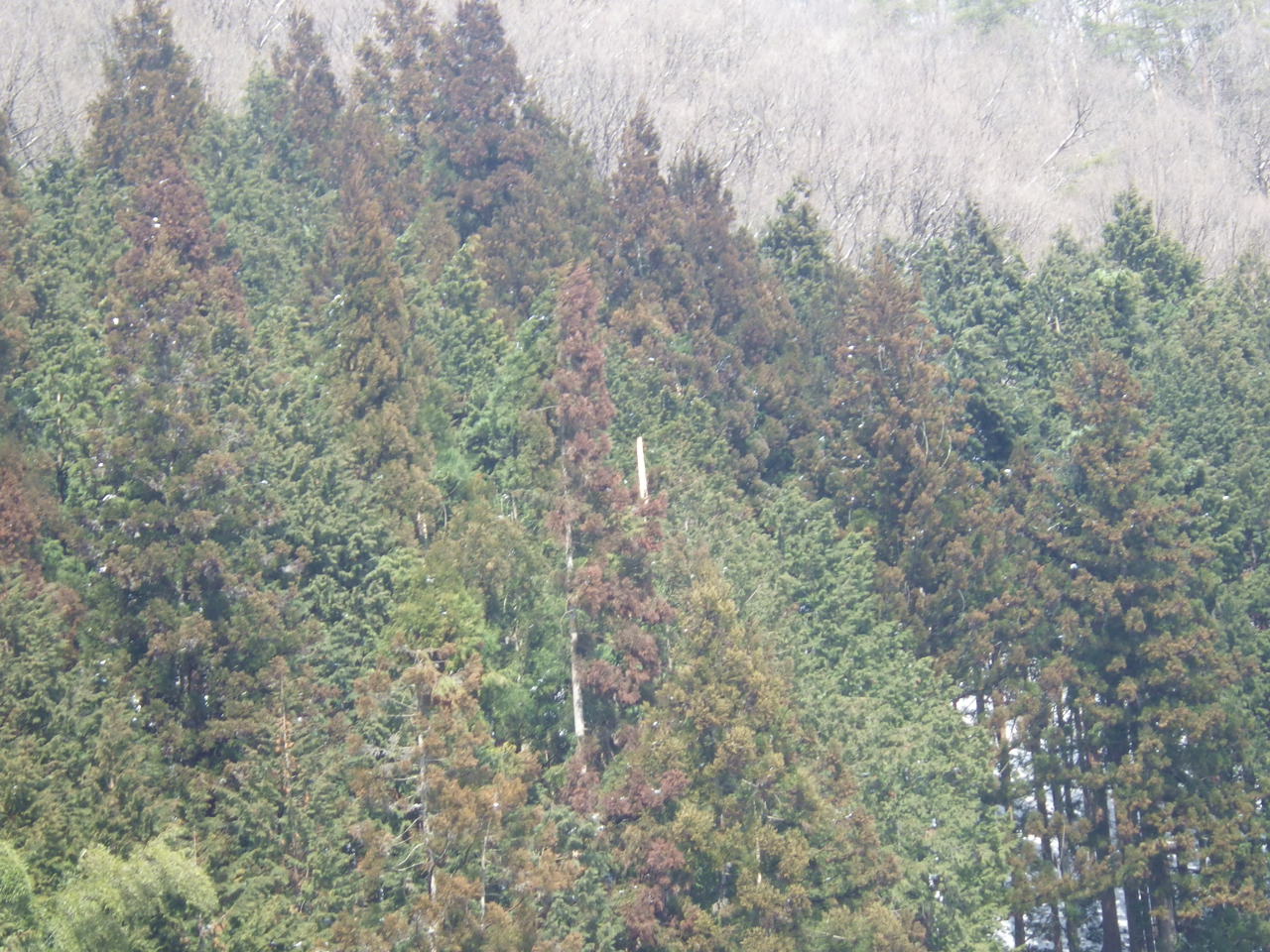 c0300035_12132986.jpg