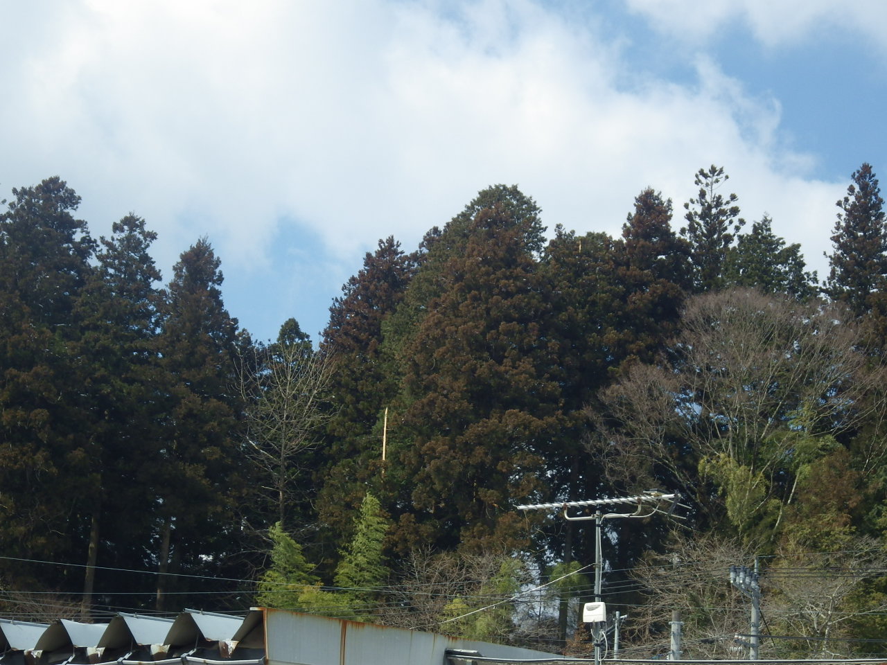 c0300035_12135785.jpg