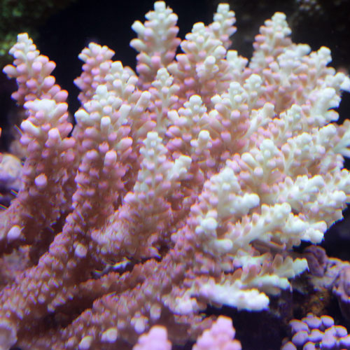 d0221436_22362861.jpg