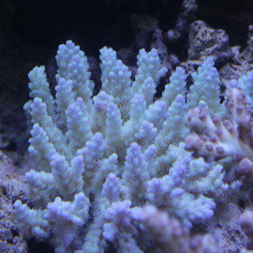 d0221436_22381099.jpg