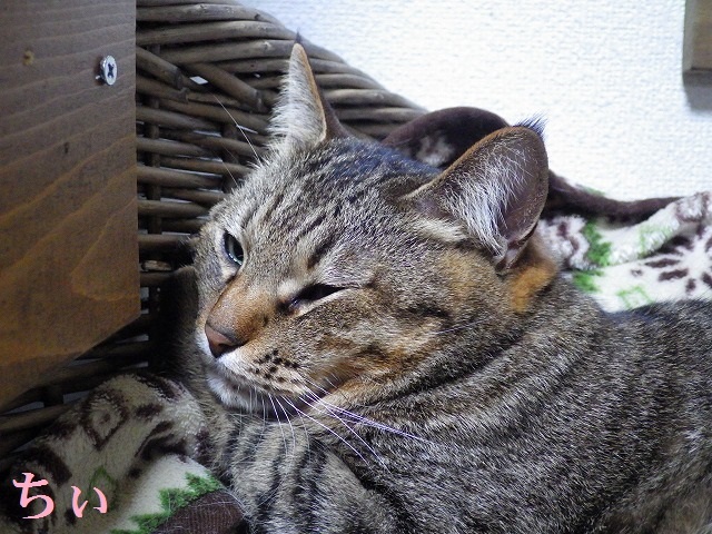a0337237_14094999.jpg