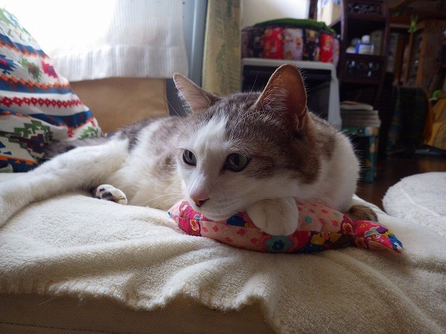 a0337237_14324167.jpg