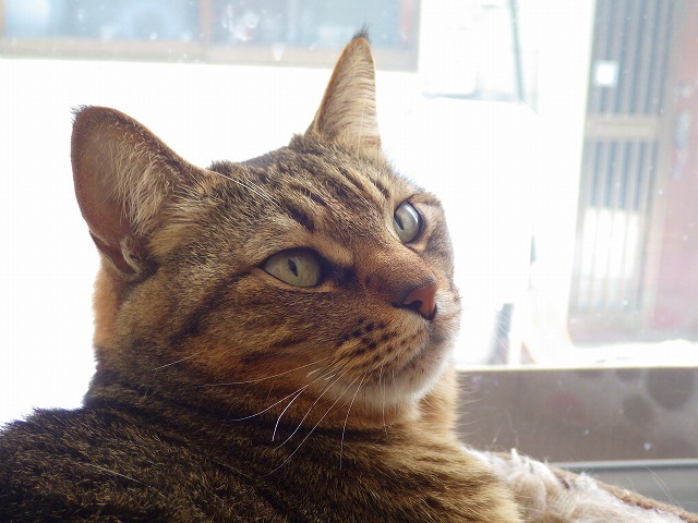 a0337237_14324623.jpg