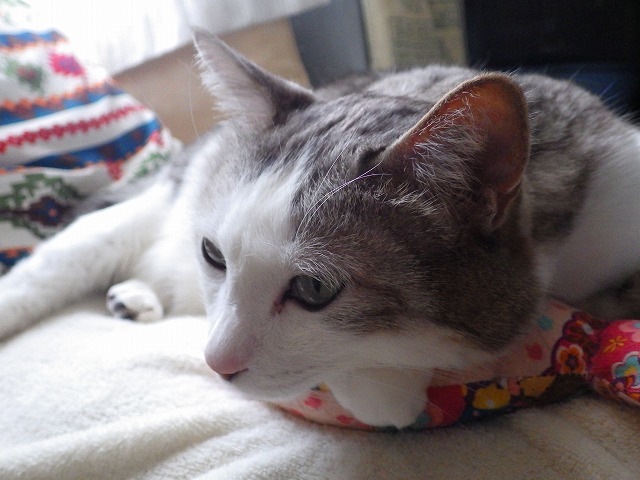 a0337237_14325004.jpg