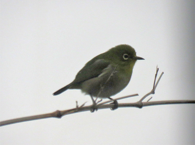f0214649_511312.jpg