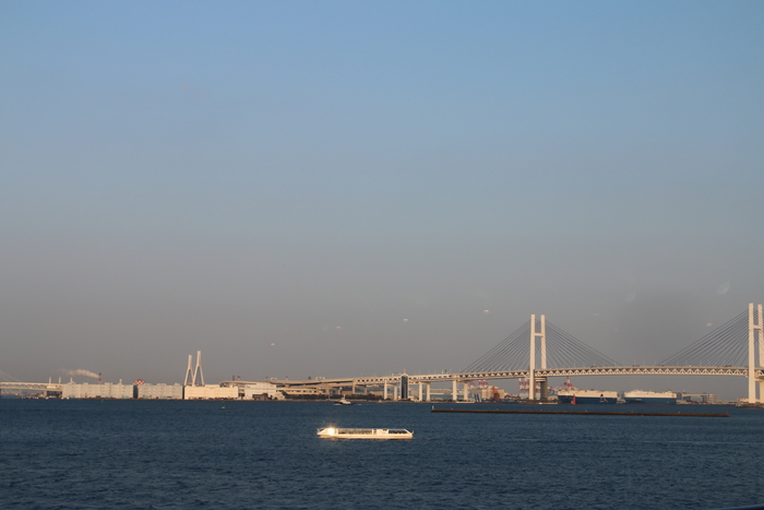 d0152261_952299.jpg