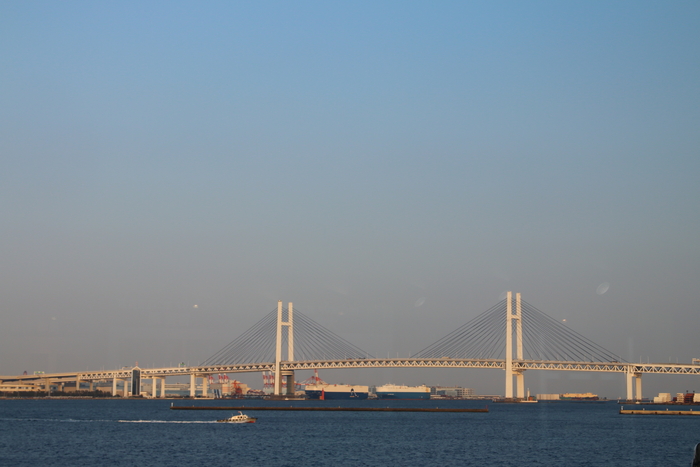 d0152261_9531161.jpg