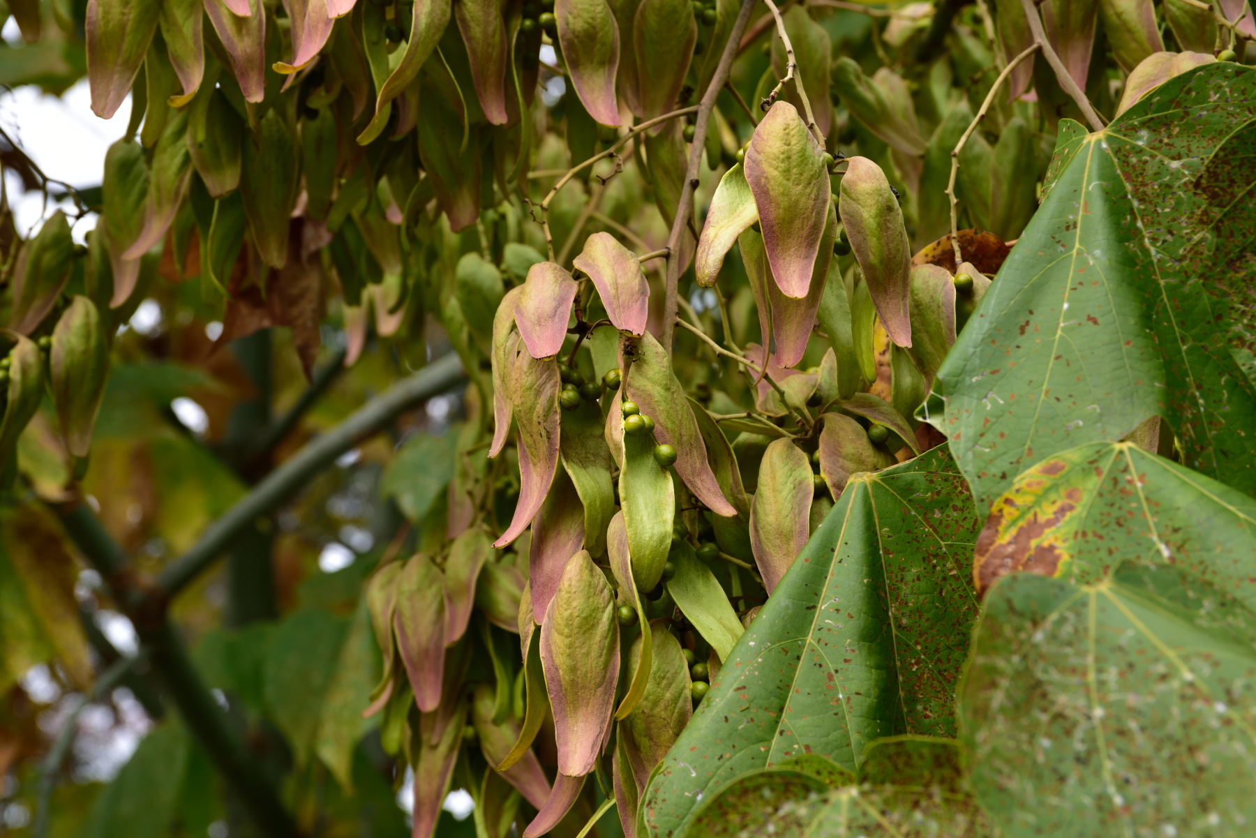 b0346568_23551407.jpg