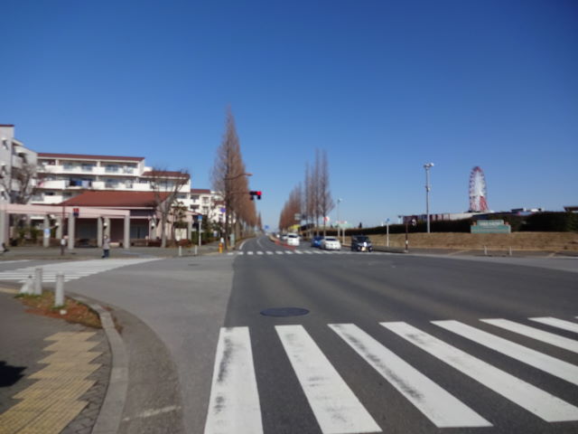 a0113874_17131438.jpg
