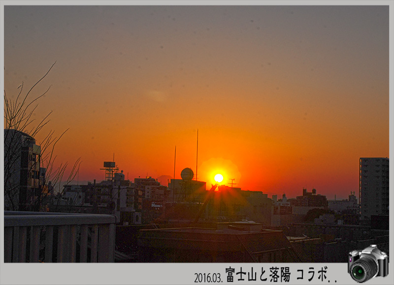 c0009981_5134052.jpg