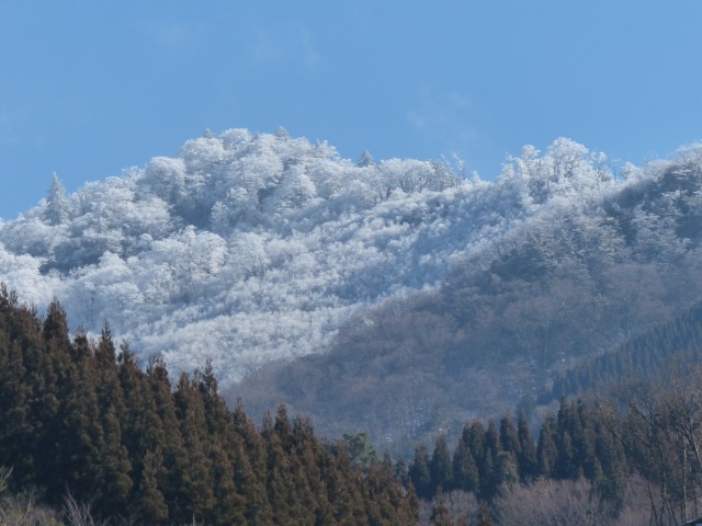 f0357487_0591023.jpg