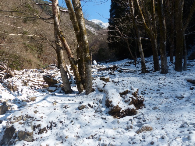 f0357487_15172.jpg