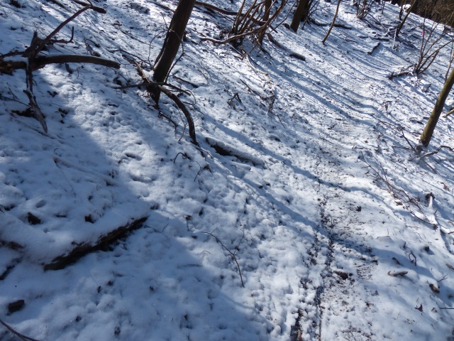 f0357487_16436.jpg