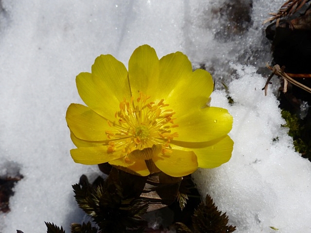 f0357487_20531732.jpg