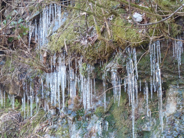 f0357487_2112742.jpg