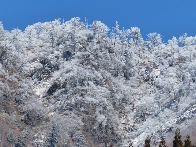f0357487_2153289.jpg