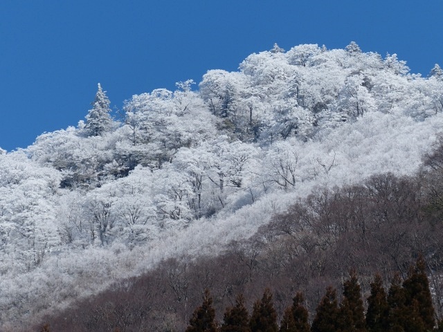 f0357487_215384.jpg