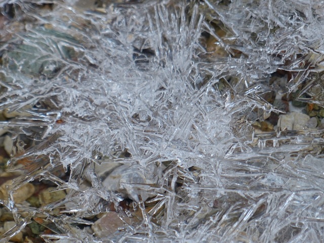 f0357487_216422.jpg