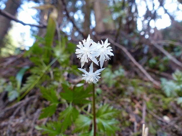 f0357487_219197.jpg