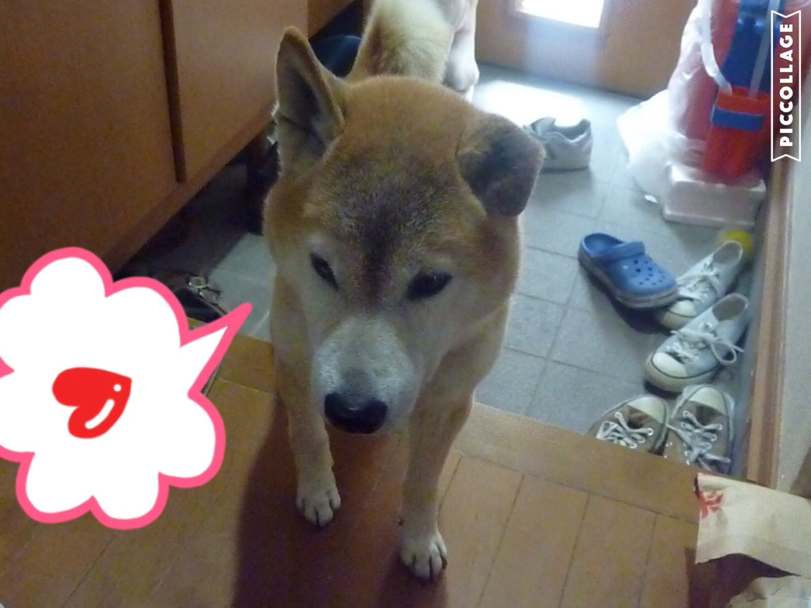 c0123890_2014297.jpg